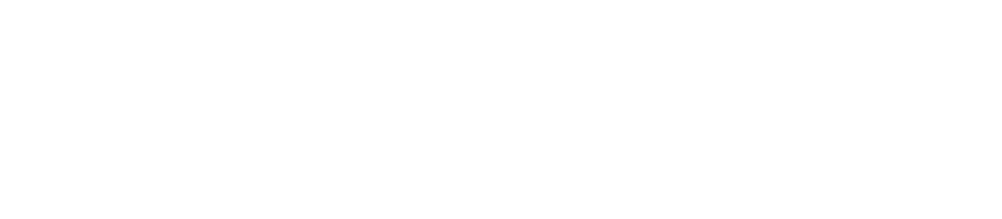 Subcurrent Dev